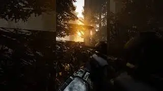 Прогулка в Рыжем лесу. Прохождение Stalker Anomaly 1.5.2 expedition 2.3