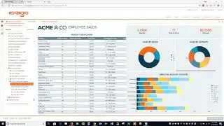 Exago BI Support Lab - Formatting Tips and Tricks