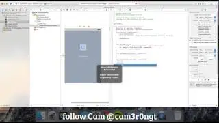 Swift - Webviews with Activity Indicators