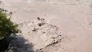 Об Бози Дарёи Сурхоб 🇹🇯 Таджикистан 🏊