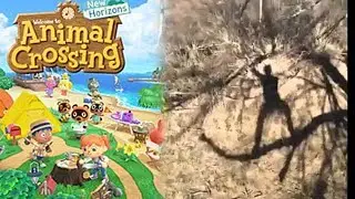 Animal Crossing: New Horizons OST 12 PM