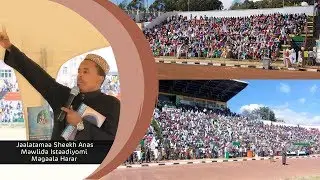 Jaalatamaa Sheekh Anas | Mawlida Istaadiyomi Magaala Harar