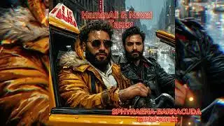 HammAli & Navai taxi metal-remix by SPHYRAENA BARRACUDA