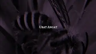 Ubat Angat
