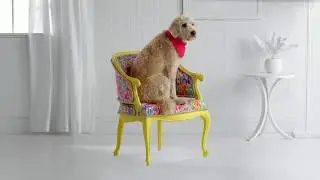 JOANN FABRICS - SPRING 2017 (MUSIC BY HAR MEGIDDO)