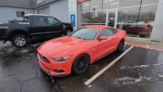 Mustang GT de 5 litri întreținere și cheltuieli Vlog2024 !!!
