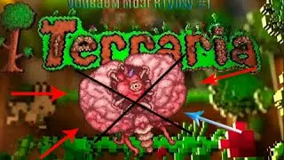 Убиваем Босса Мозг Ктулху | Terraria #1 | Выпал Маска Мозга Ктулху