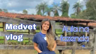 Medvet vlog | aula na fazenda