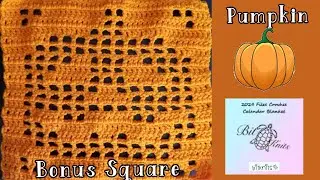 2024 Filet Crochet CAL Blanket 🎃 Pumpkin Pattern 🎃 BONUS SQUARE
