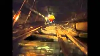 Strange creature in Moscow  Subway