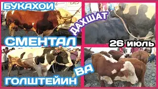 БУҚАҲОИ КАЛОНТАРИН ДАР ТОҶИКИСТОН /  МОЛ БОЗОРИ РЕГАР / БУКАХОИ СМЕНТАЛ ВА ГОЛШТЕЙН 27 июля 2020 г.