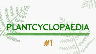 Reproduction by Guttation | Worldbuilding