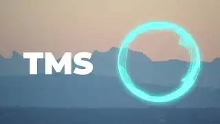 TMS - Danga
