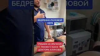Бедренно половой нерв