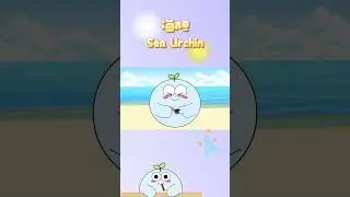😎No matter how sharp the sea urchin's shell is, I still eat it!🤤 