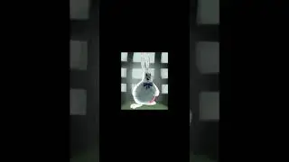 Vanny’s Favorite Fruit 