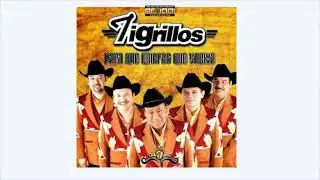 Los Tigrillos BAILAME