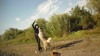 Хаски Самурай - Gypsy (полностью)