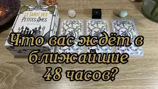 Что вас ждёт в ближайшие 48 часов? Гадание на таро Расклад онлайн 111 777 555 222 999 333