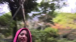momiji2