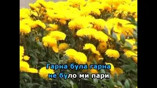 Ой гарна я гарна караоке гурт Експрес