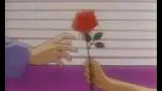 ♥Love story♥  about Usagi and Mamoro....