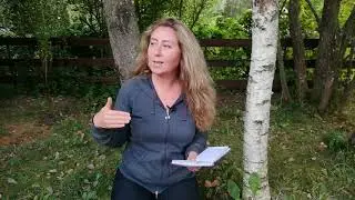 КАК УПРАВЛЯТЬ ЭМОЦИЯМИ? ПОЗИТИВНЫЕ И НЕГАТИВНЫЕ ЭМОЦИИ?