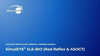 Visualization of the Anterior and Posterior Segments with SLE-BIO Training Models