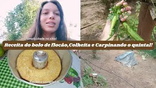 Receita do bolo de flocão, Colheita e Carpinando o quintal!