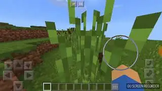 Загадочный сид мира в Minecraft PE