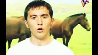 Вильдан Файзуллин ҡолон