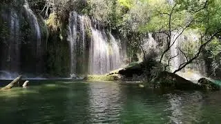 Beauty of Nature - Emotional Track