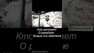 кто мечтает о ромодане живые или мертвые