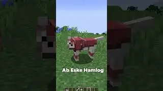 Mojang Pls Hire Me...