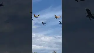 Tiger Moths at the Tyabb Airshow 2024