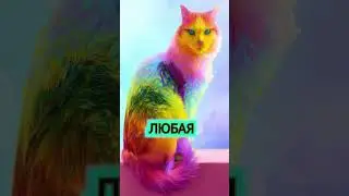 Про  мяу. 