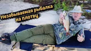Волга плотва выпрыгивает на берег. Фидерная рыбалка на плотву. Что лучше донка или фидер. Прикормка