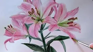 LIVE 🌿 Painting a Delicate Lily | Relaxing Botanical Watercolor (Chill / Study / Sleep)