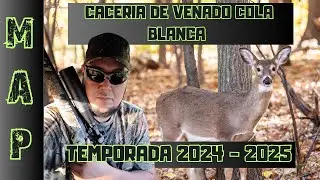 WHITE TAILED DEER HUNT 2024, PART #1