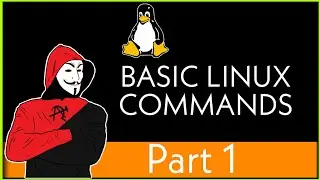 Basic Linux Commands | Learn Linux 👨‍💻🔥