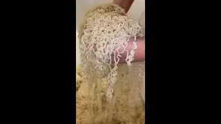 This Is What The Inside Of A College Student’s Stomach Looks Like