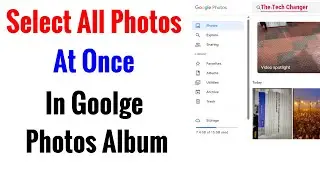 How To Select All Photos At Once in Google Photos Album from a Laptop or Mobile