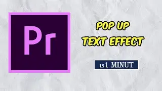 How to  Pop up text animation in Premiere Pro 2023 ~ PREMIERE PRO CLASS - 2 ~ @skoolsy