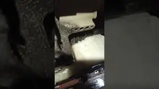 Почему нужно всегда ездить с защитой двигателя
