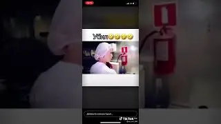 как вы боритесь с мухами?