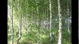 Земля   моя  добрая