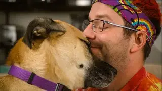 PETS PLAYTIME IN SLOW MOTION