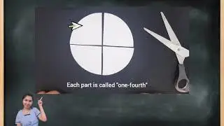 Half circles and quarter circles