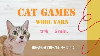 【組み合わせ猫用動画】ひも５分 CAT GAMES #2