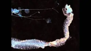 Tenhi - Kuoppa (Depth)